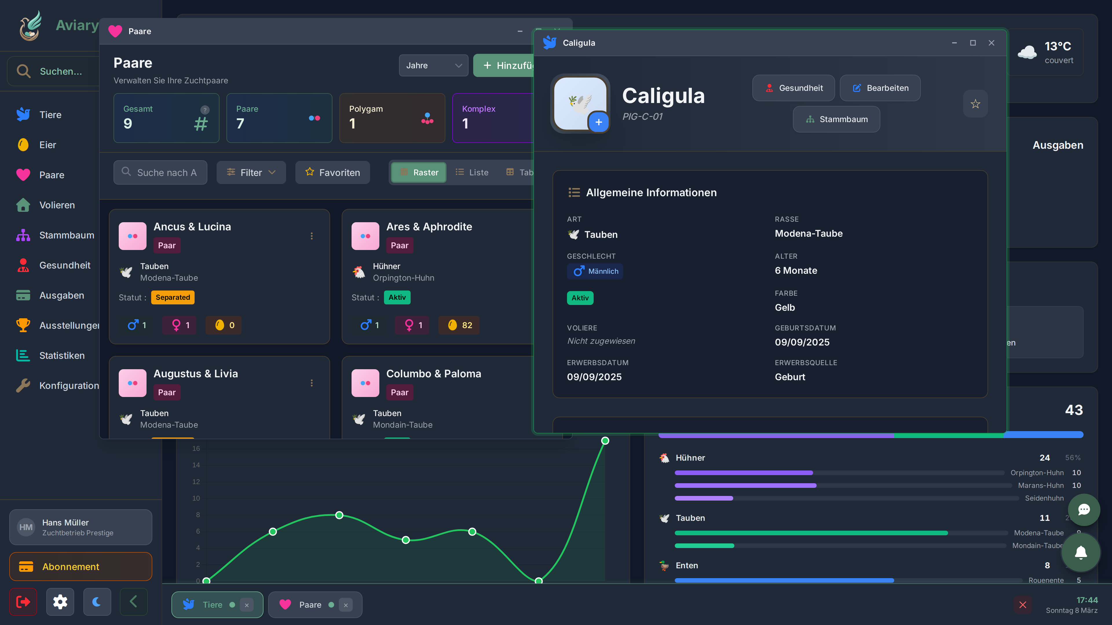 An mehreren Dingen gleichzeitig arbeiten