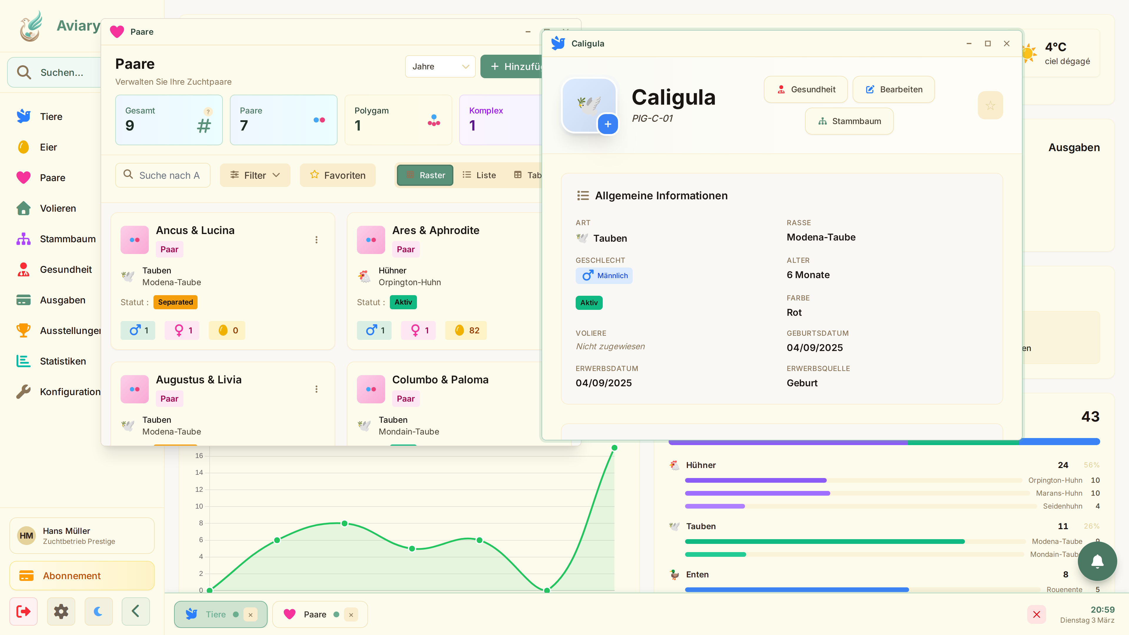 An mehreren Dingen gleichzeitig arbeiten