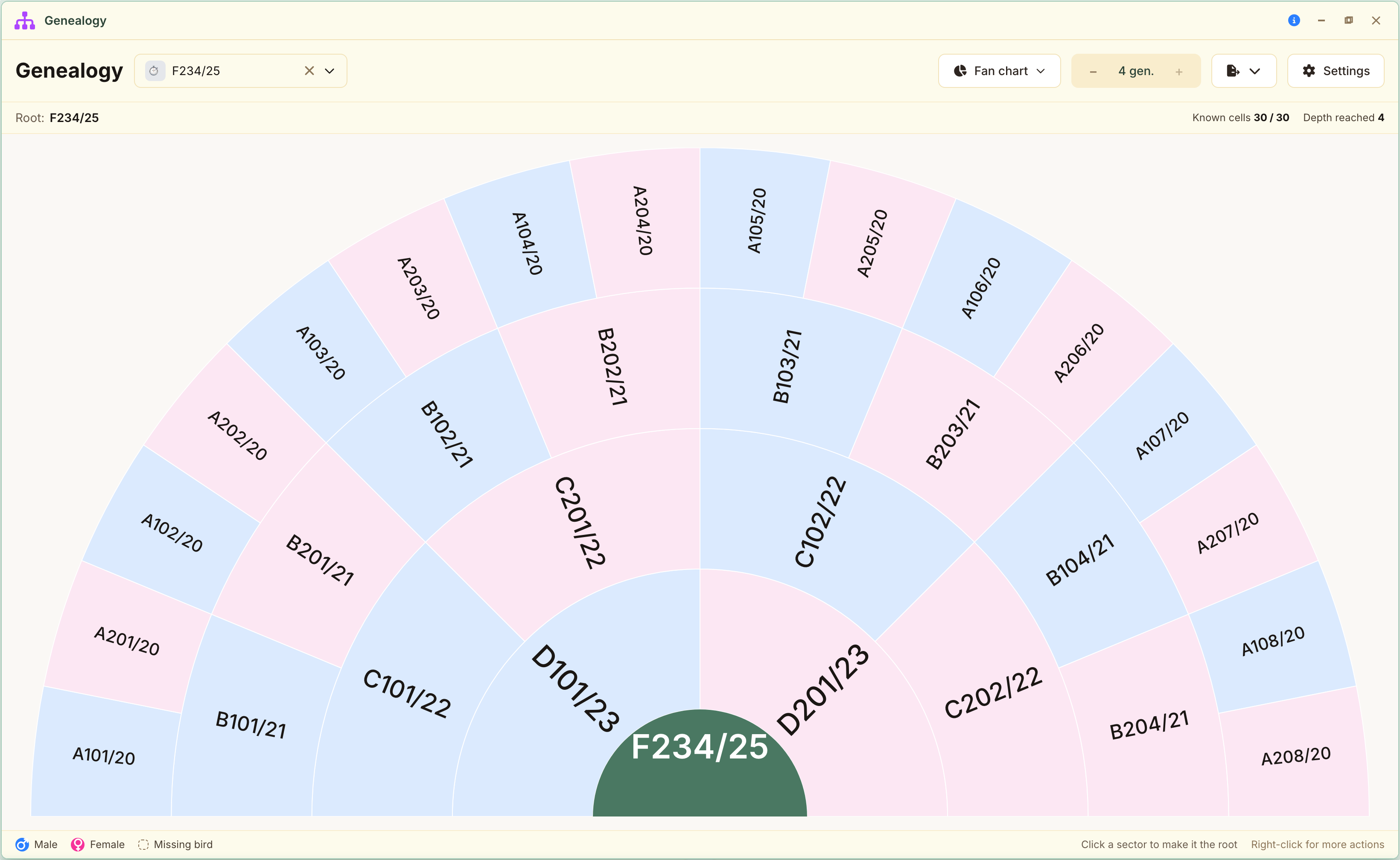 The same ancestry as a fan chart: one generation per ring, and every empty box shows at once.