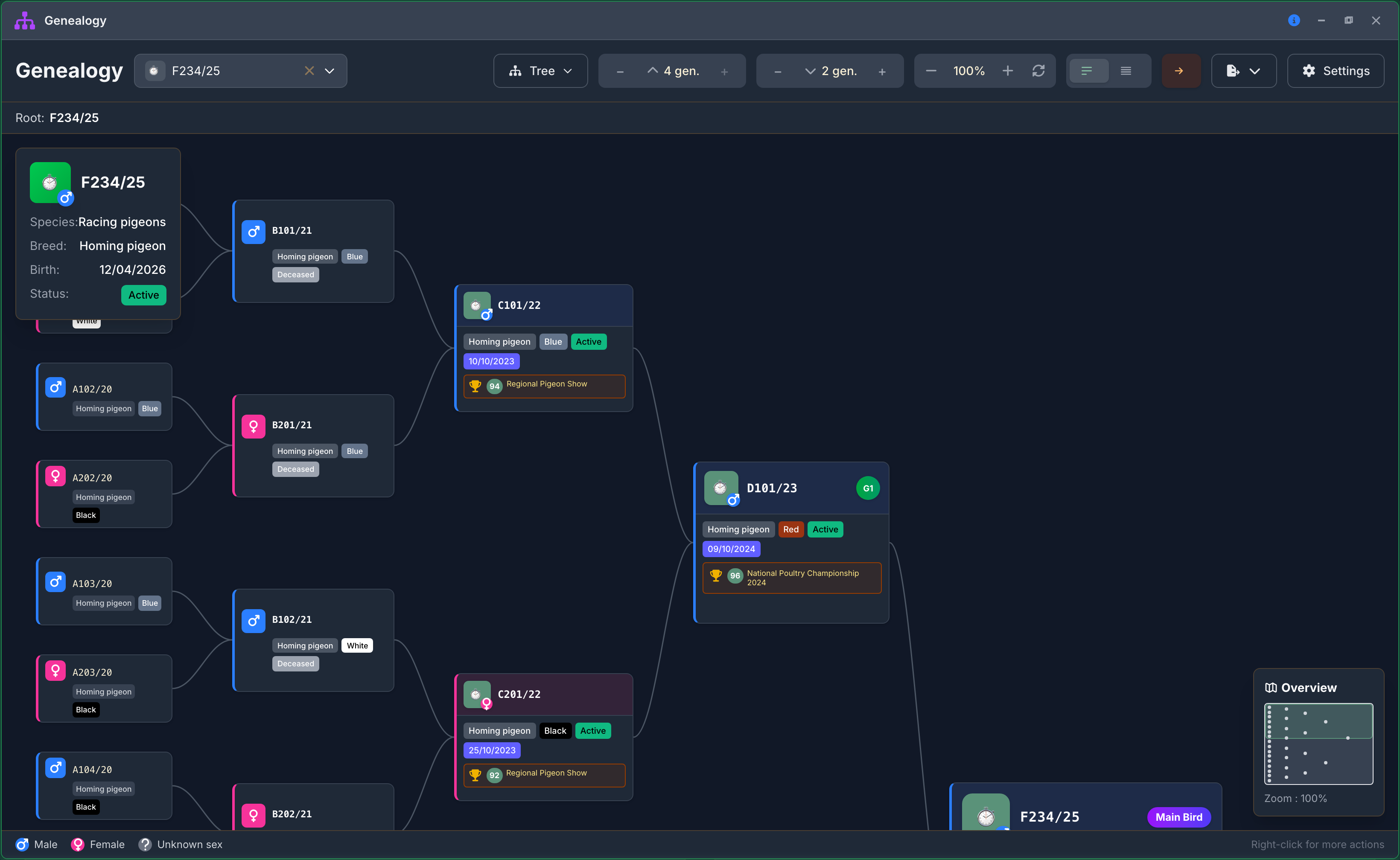 The interactive tree: ancestors on one side, descendants on the other, and an overview to find your way.