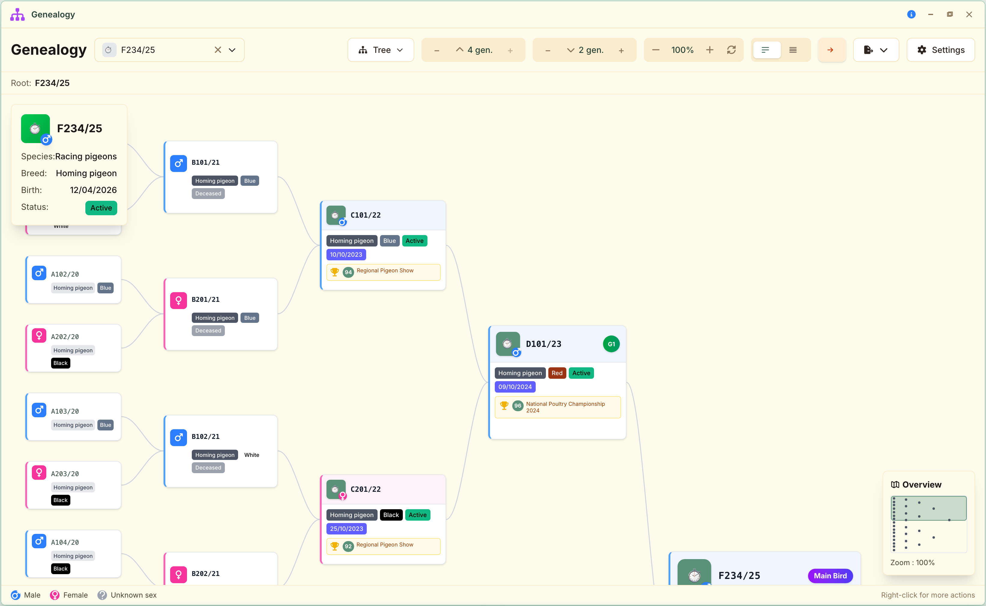 The interactive tree: ancestors on one side, descendants on the other, and an overview to find your way.
