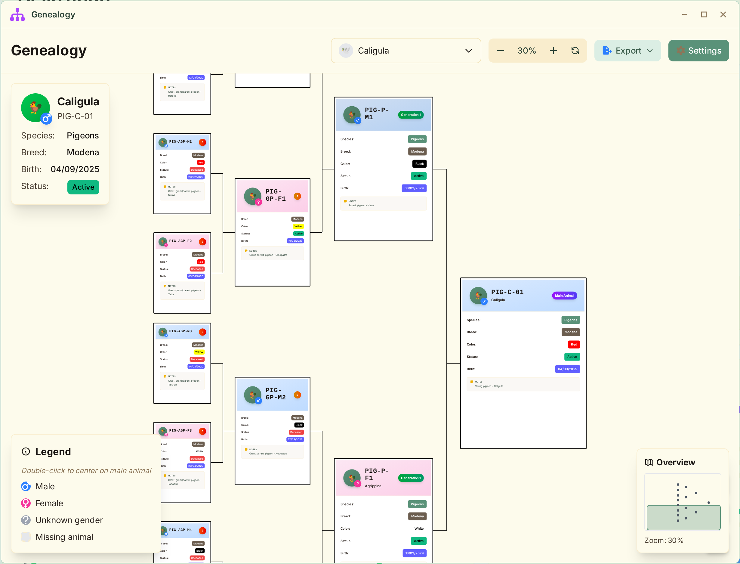 Interactive genealogy