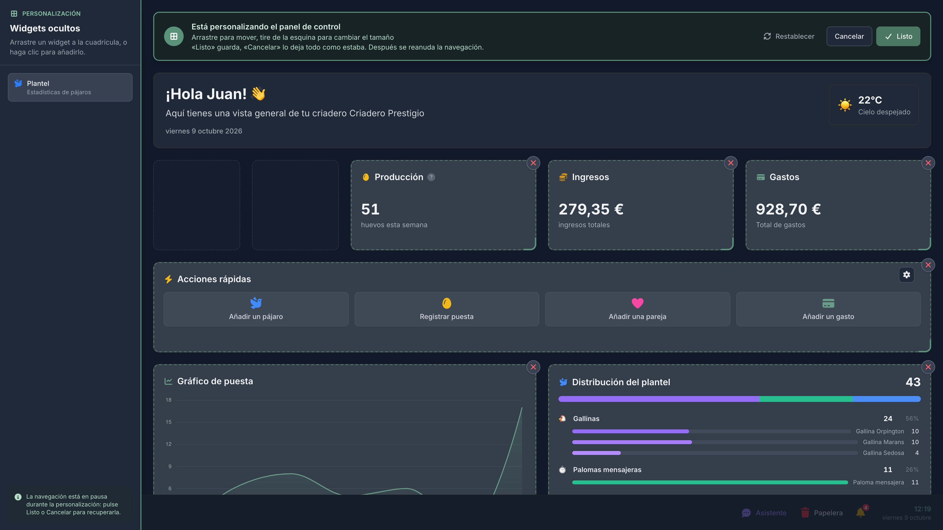 El panel de control en edición: los widgets se mueven, se redimensionan, se retiran y se añaden en el sitio.