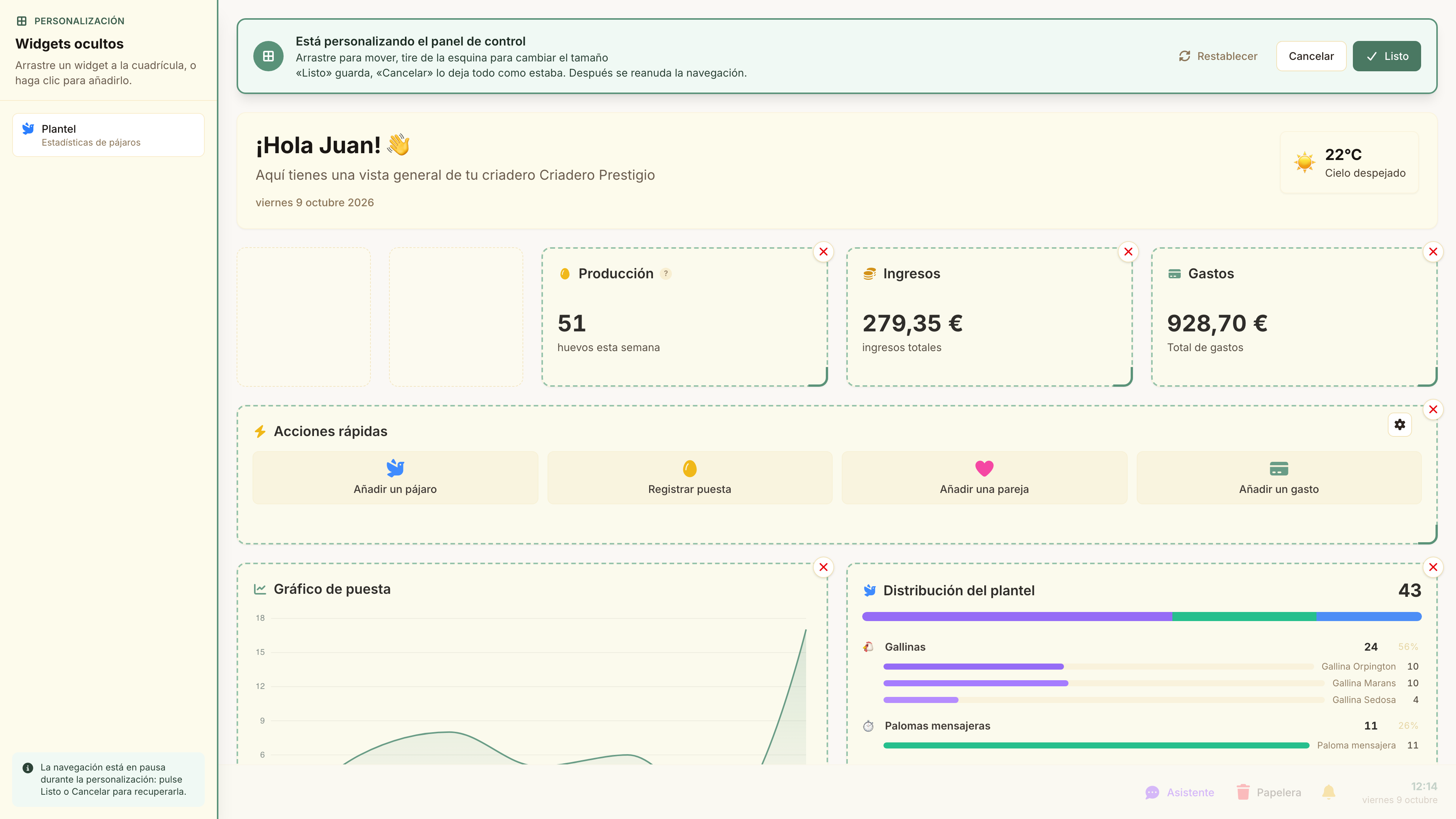 El panel de control en edición: los widgets se mueven, se redimensionan, se retiran y se añaden en el sitio.