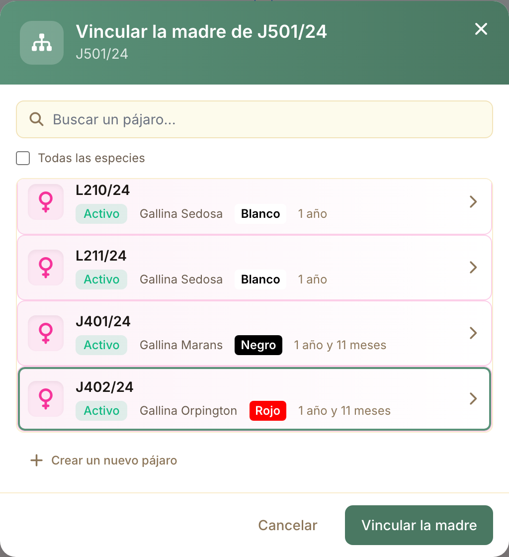 La ventana de vínculo solo propone pájaros del sexo correcto, mayores y de la misma especie.