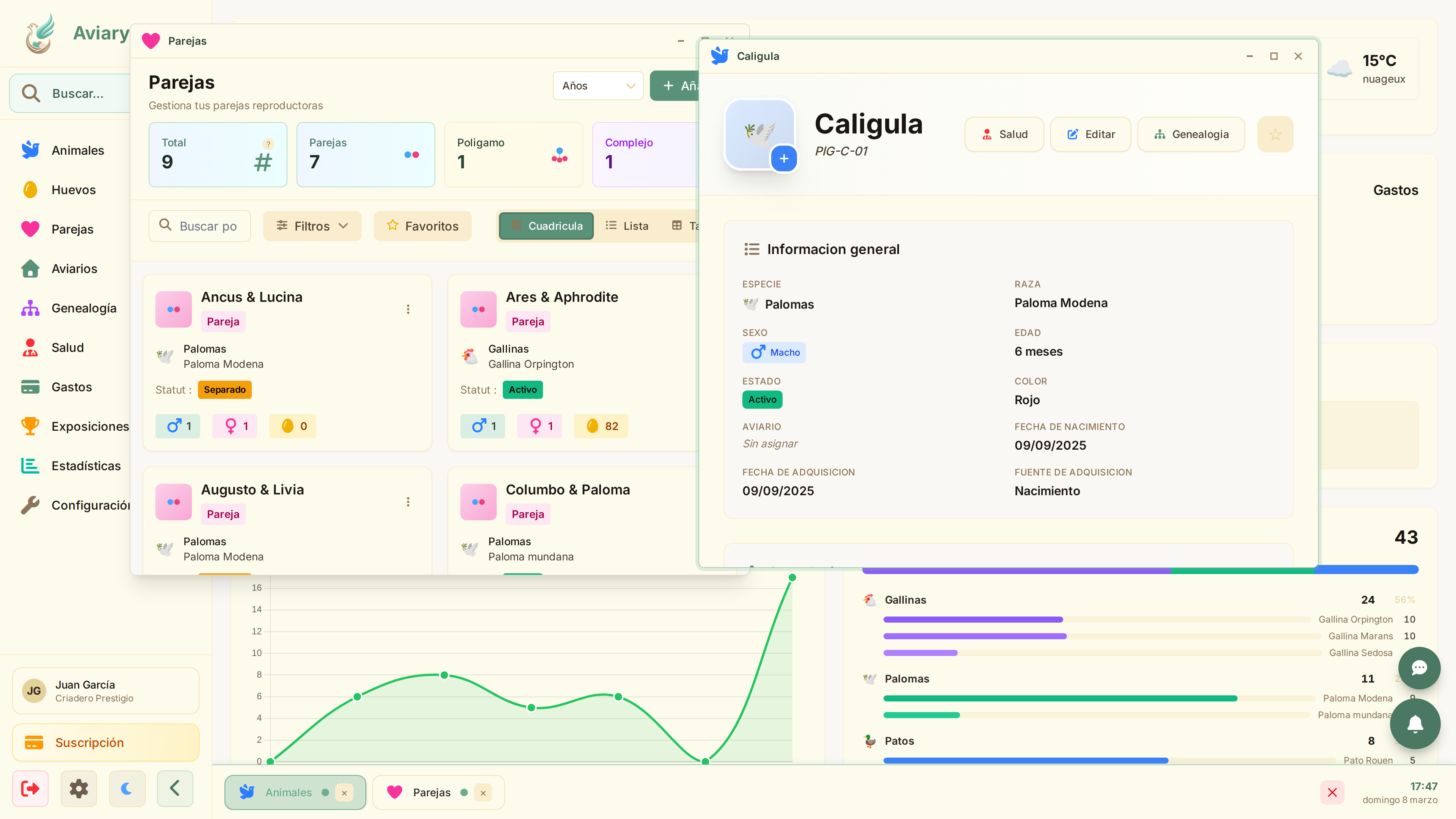 Trabaje en varias cosas a la vez