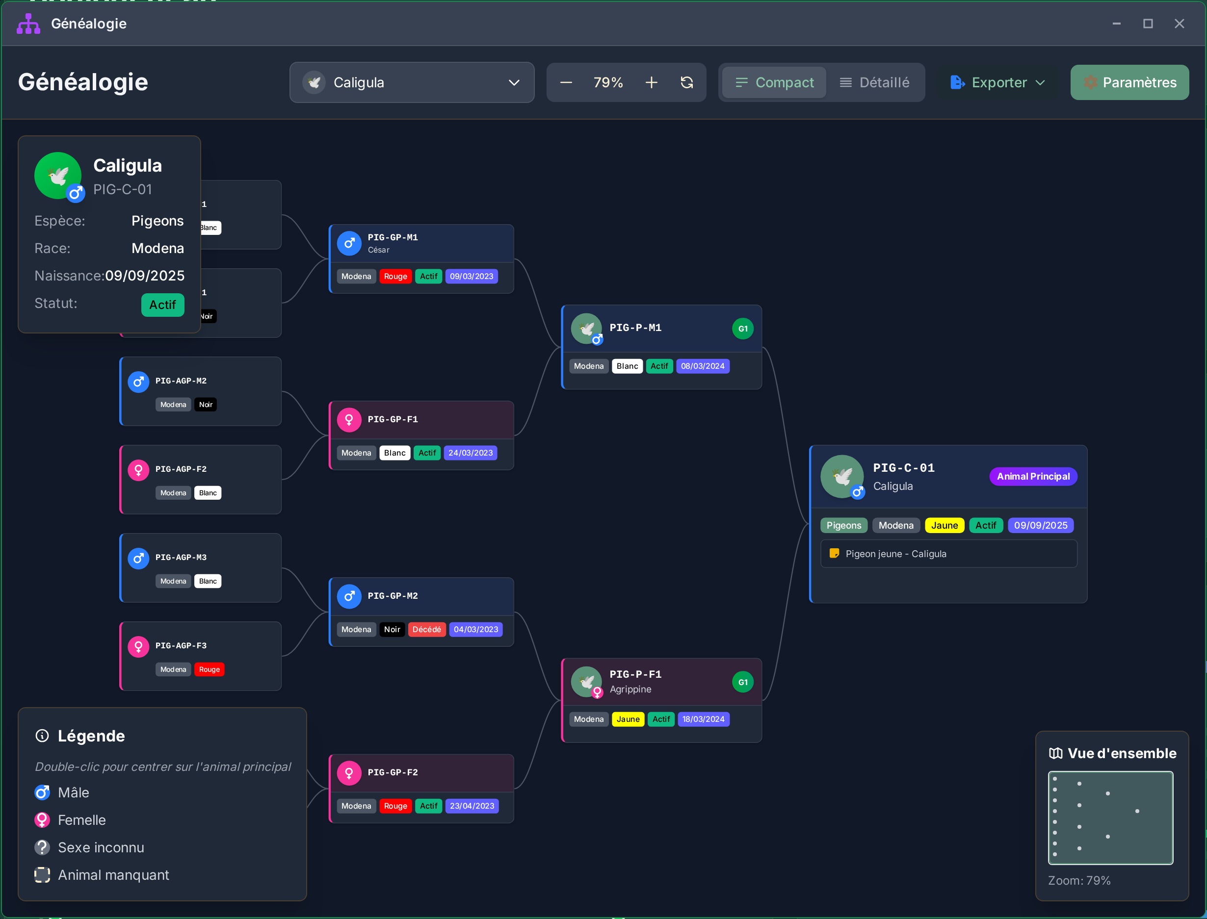 Généalogie interactive