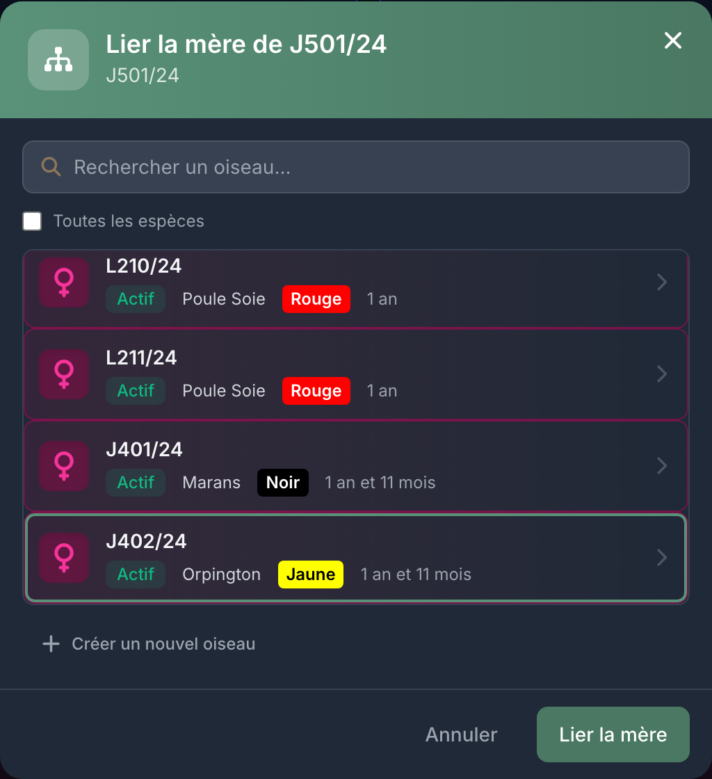 La fenêtre de liaison ne propose que des oiseaux du bon sexe, plus âgés et de la même espèce.