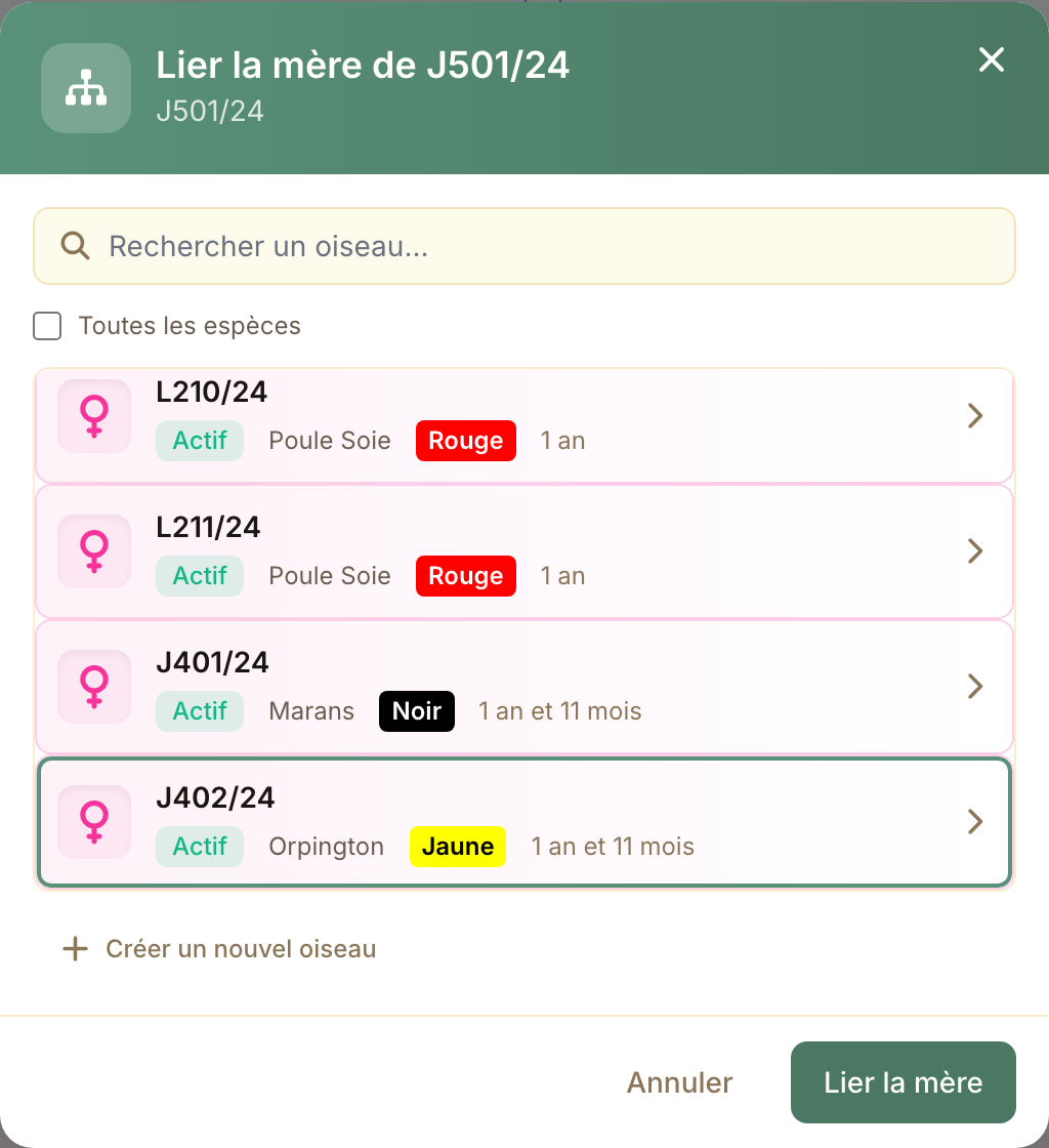 La fenêtre de liaison ne propose que des oiseaux du bon sexe, plus âgés et de la même espèce.