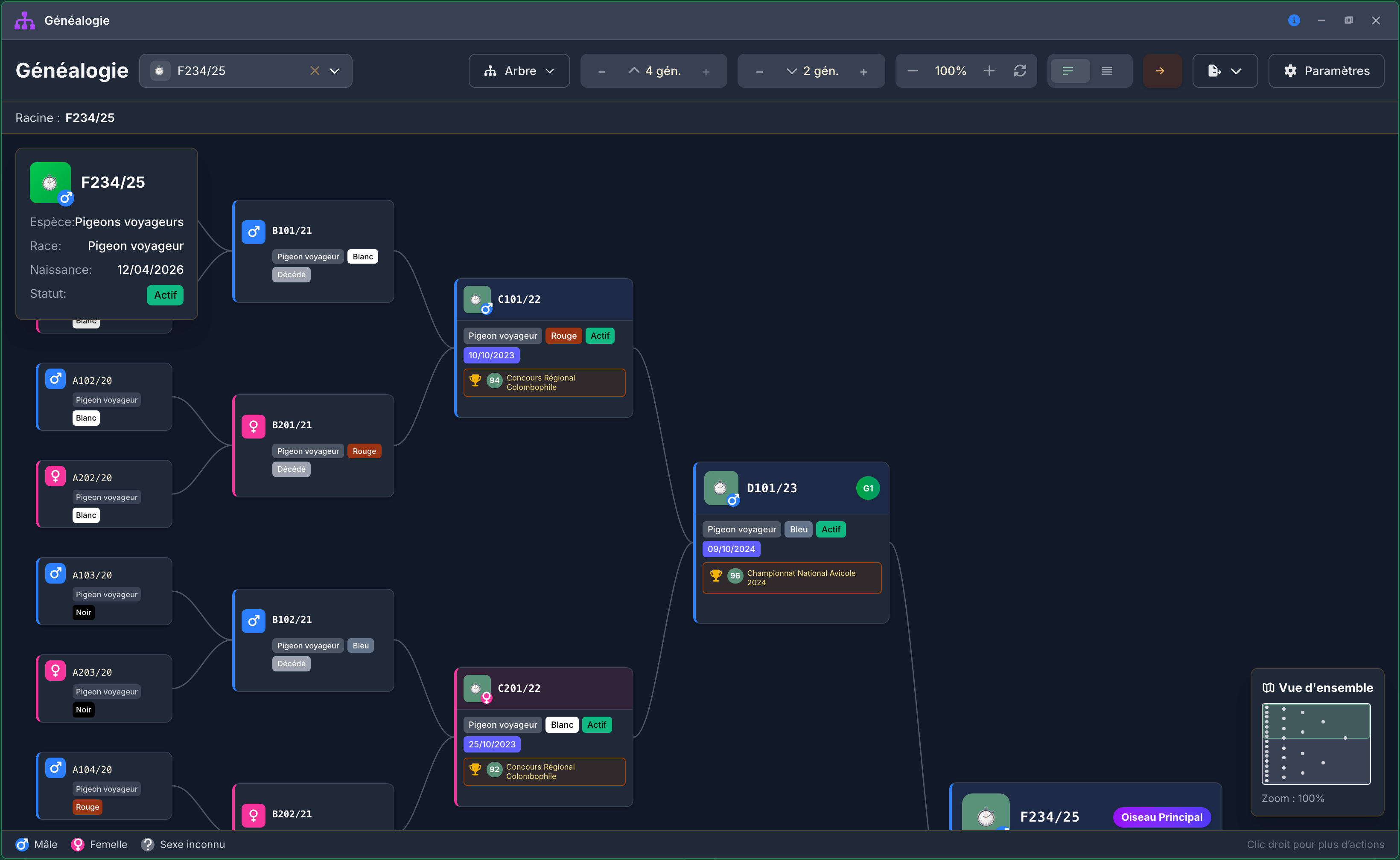 L'arbre interactif : les ancêtres d'un côté, les descendants de l'autre, et une vue d'ensemble pour s'y repérer.