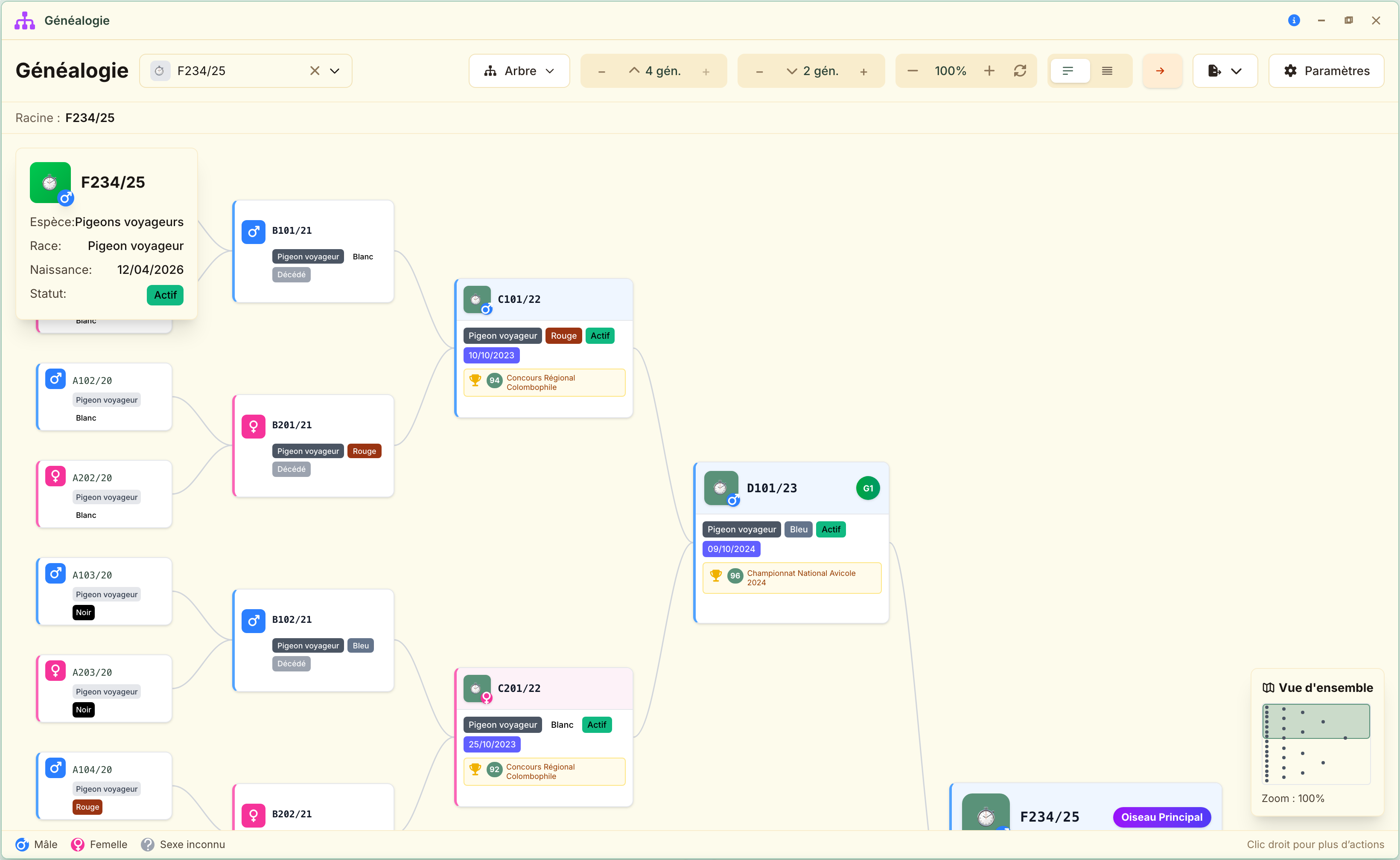 L'arbre interactif : les ancêtres d'un côté, les descendants de l'autre, et une vue d'ensemble pour s'y repérer.