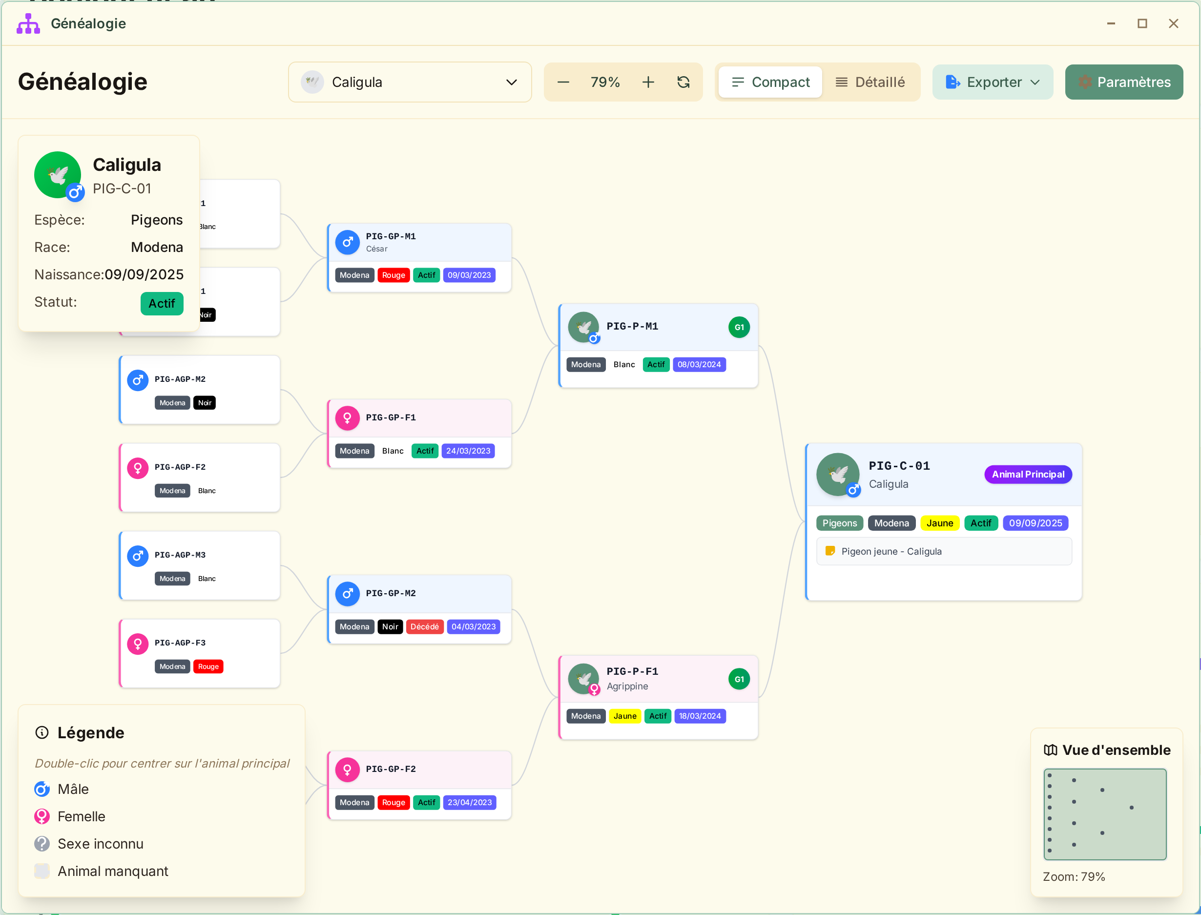 Généalogie interactive