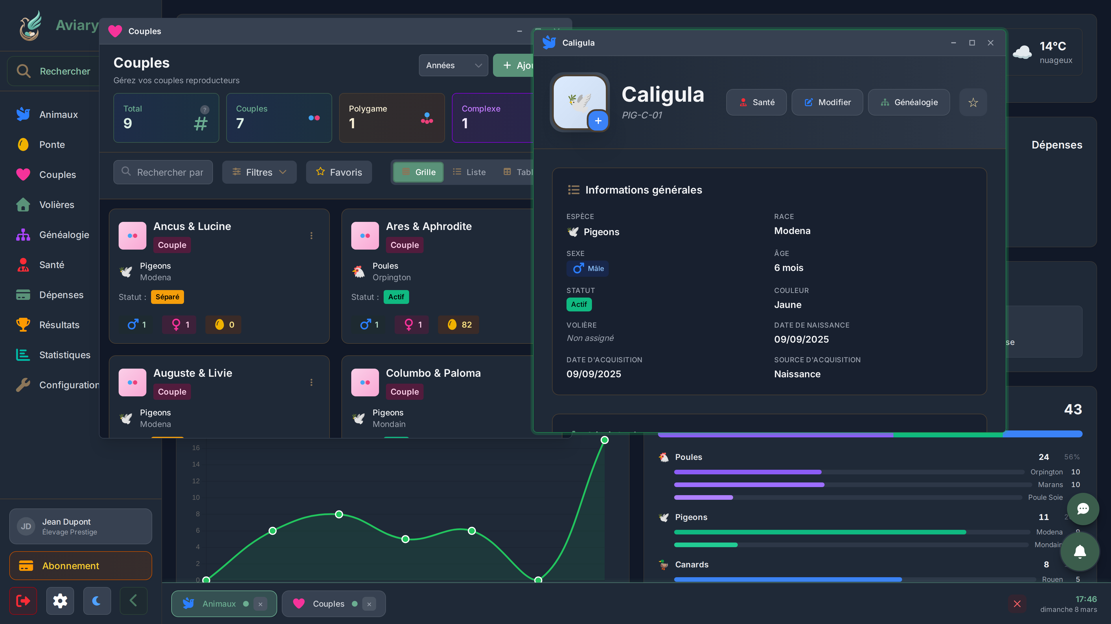 Travaillez sur plusieurs choses à la fois