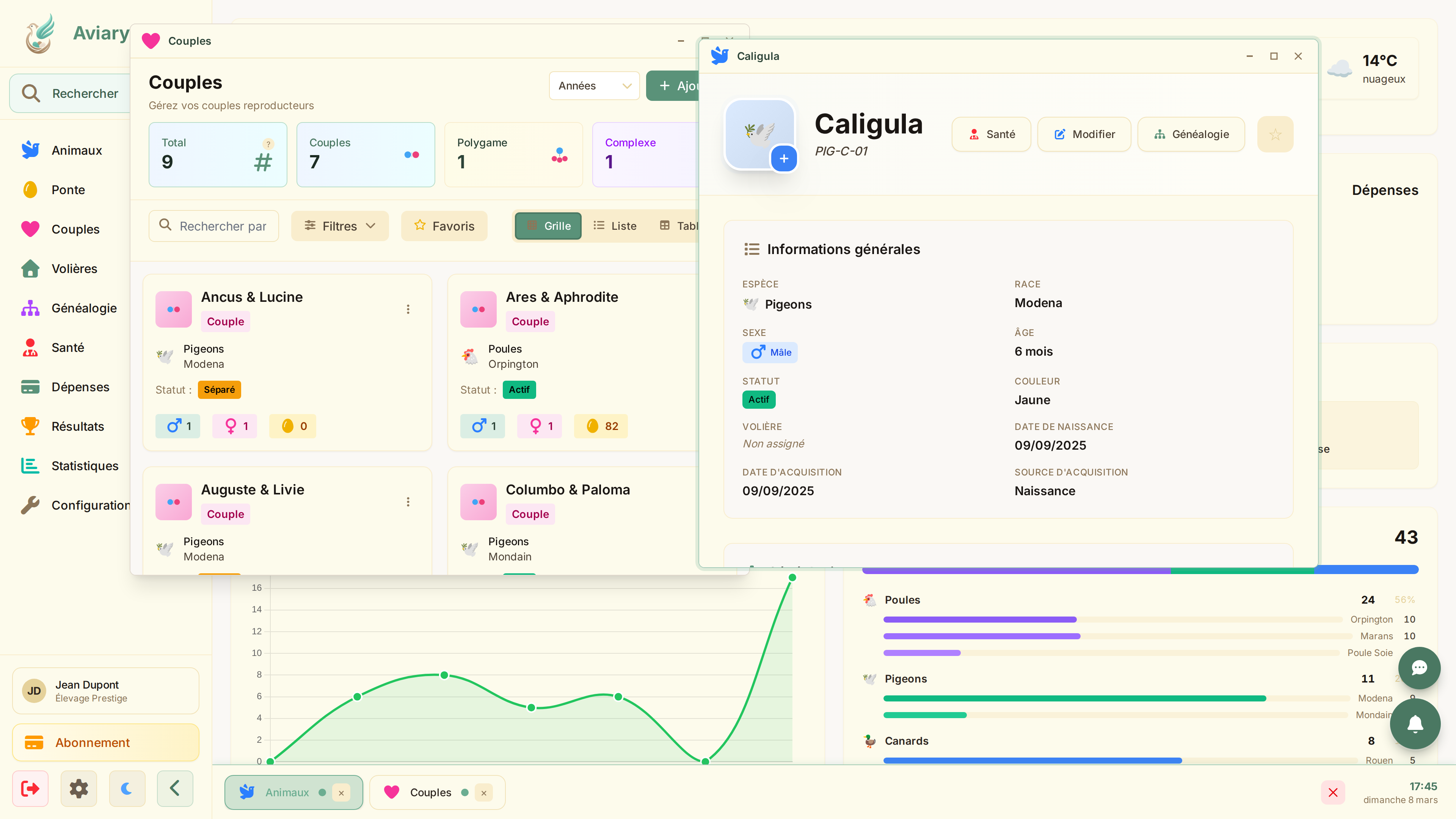 Travaillez sur plusieurs choses à la fois