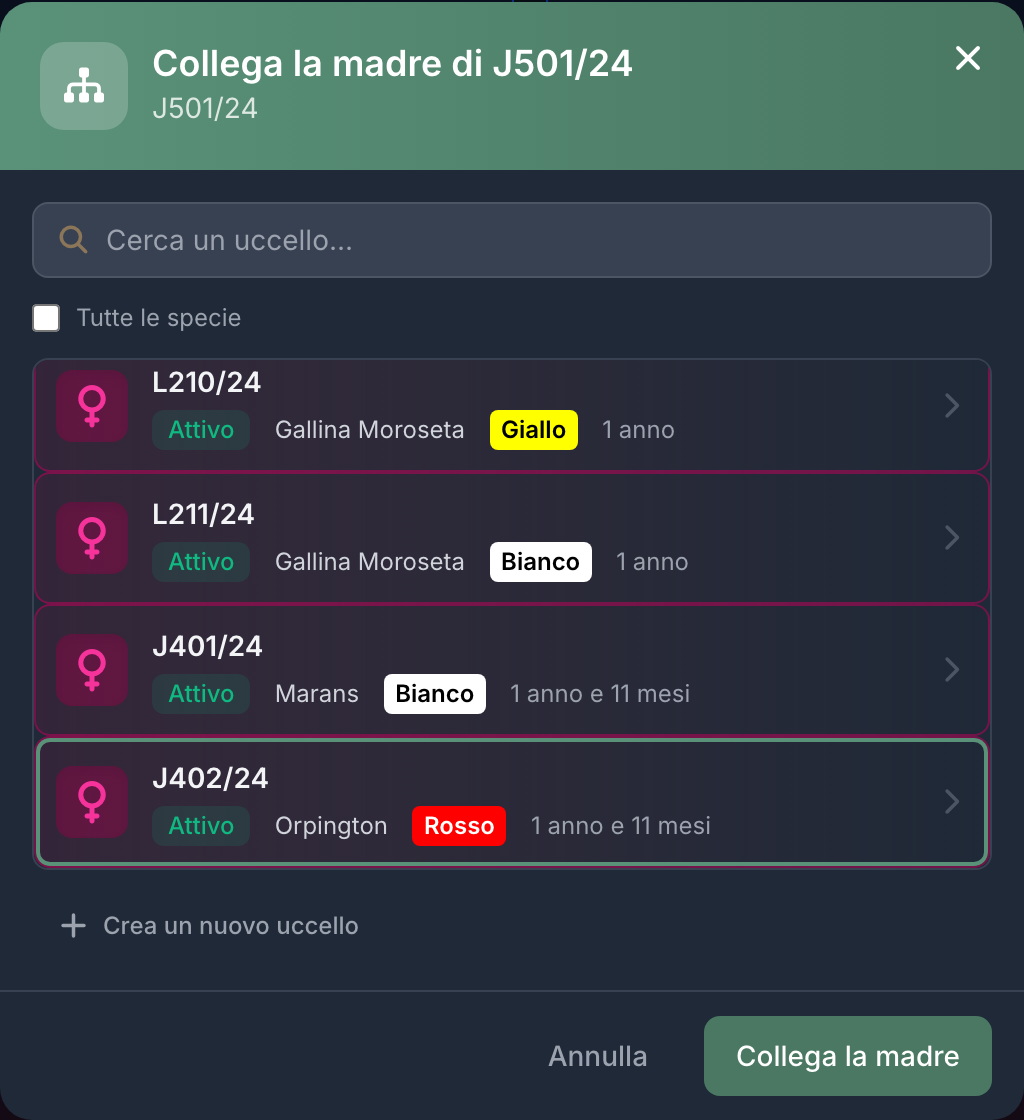 La finestra di collegamento propone solo uccelli del sesso giusto, più anziani e della stessa specie.