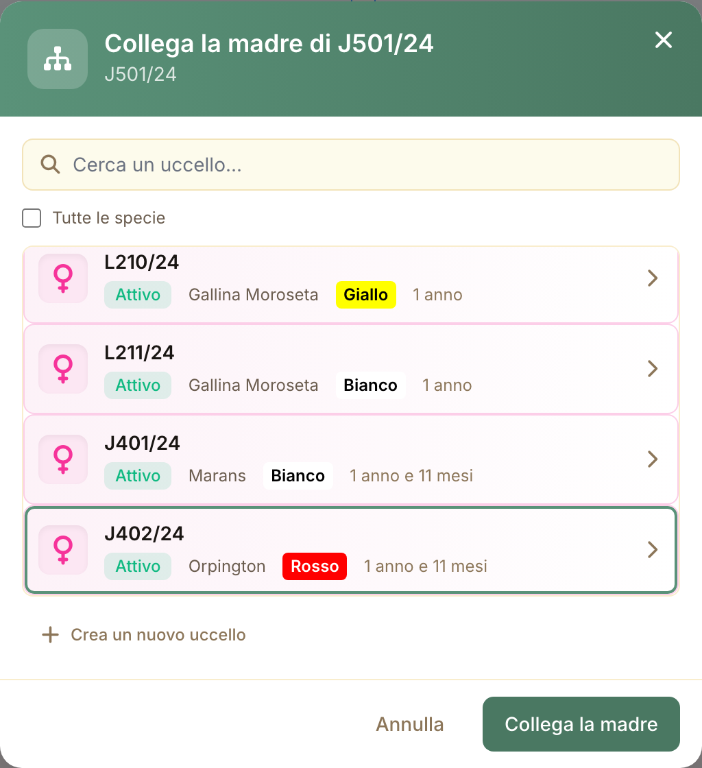 La finestra di collegamento propone solo uccelli del sesso giusto, più anziani e della stessa specie.