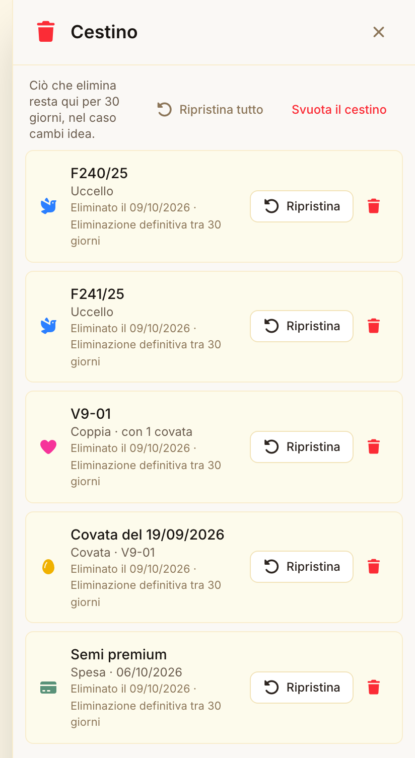 Il cestino aperto sul computer, dal più recente al più vecchio: due uccelli, una coppia, una covata e una spesa.