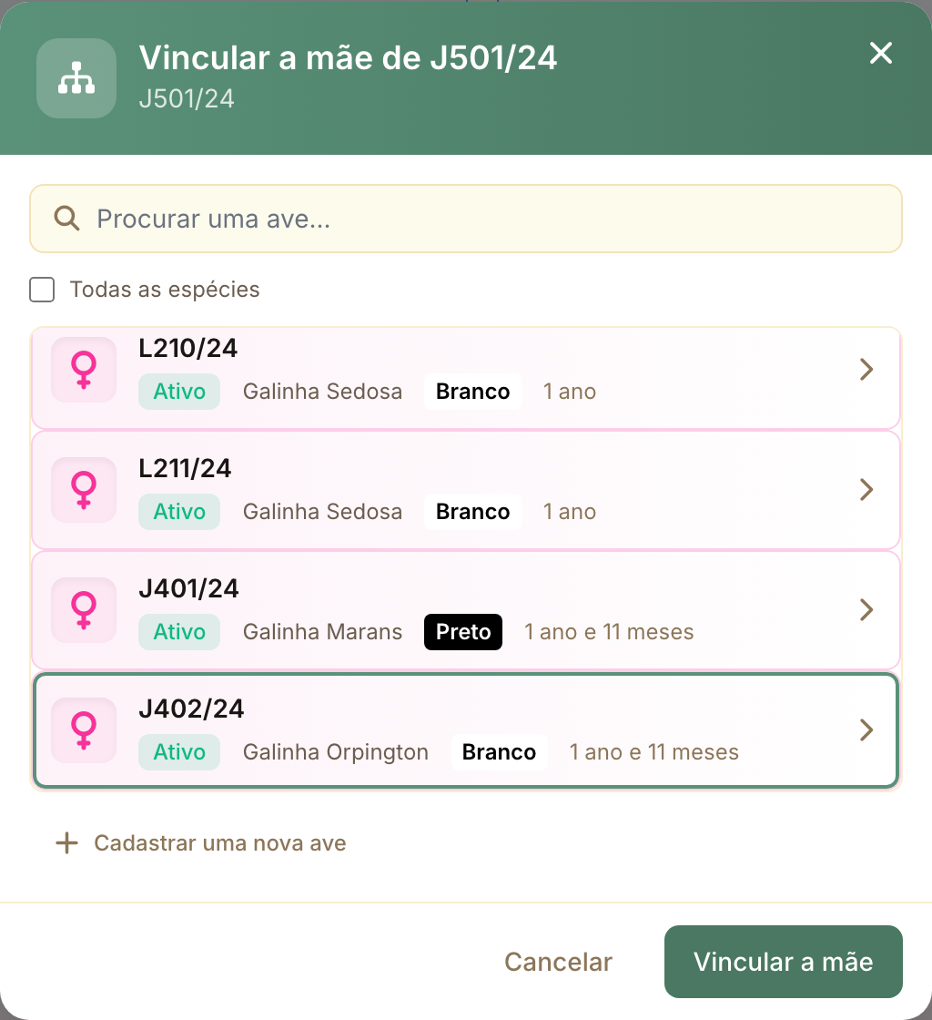 A janela de vínculo só sugere aves do sexo certo, mais velhas e da mesma espécie.
