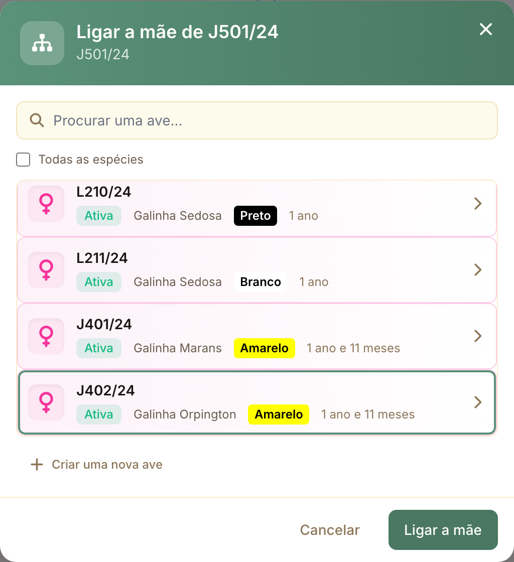 A janela de ligação só propõe aves do sexo certo, mais velhas e da mesma espécie.